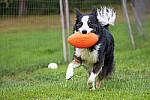 Click to see Y-EOS-R6-JG-2123-MOD.JPG
