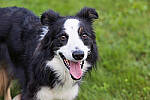 Click to see Y-EOS-R6-JG-2132-MOD.JPG