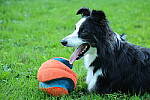 Click to see Y-EOS-R6-JG-2201.JPG