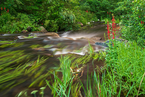 Canon EOS R6 Review: Field Test -- Gallery Image