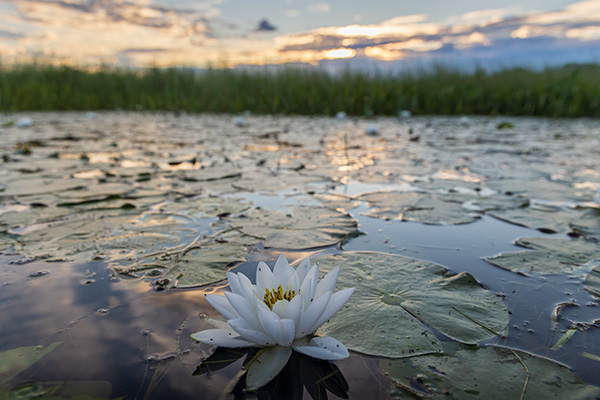 Canon EOS R6 Review: Field Test -- Gallery Image