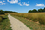 Click to see Y-JG-CANON-EOS-R7-0011-MOD.JPG