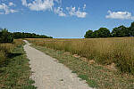 Click to see Y-JG-CANON-EOS-R7-0011.JPG