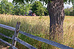 Click to see Y-JG-CANON-EOS-R7-0014-MOD.JPG