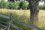 Click to see Y-JG-CANON-EOS-R7-0014.JPG