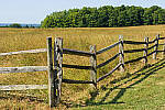 Click to see Y-JG-CANON-EOS-R7-0018-MOD.JPG