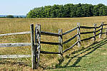 Click to see Y-JG-CANON-EOS-R7-0018.JPG