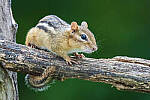 Click to see Y-JG-CANON-EOS-R7-0188-MOD.JPG