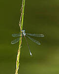 Click to see Y-JG-CANON-EOS-R7-0493-MOD.JPG