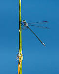 Click to see Y-JG-CANON-EOS-R7-0511-MOD.JPG