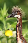 Click to see Y-JG-CANON-EOS-R7-0589.JPG