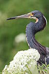 Click to see Y-JG-CANON-EOS-R7-0840.JPG