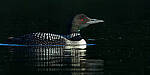 Click to see Y-JG-CANON-EOS-R7-0882-MOD.JPG