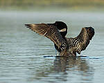 Click to see Y-JG-CANON-EOS-R7-1279-MOD.JPG