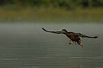 Click to see Y-JG-CANON-EOS-R7-1323.JPG