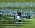 Click to see Y-JG-CANON-EOS-R7-1793-MOD.JPG