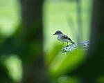 Click to see Y-JG-CANON-EOS-R7-1903-MOD.JPG