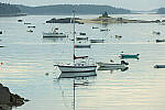 Click to see Y-JG-CANON-EOS-R7-1941.JPG