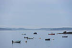 Click to see Y-JG-CANON-EOS-R7-1946.JPG