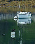 Click to see Y-JG-CANON-EOS-R7-1965-MOD.JPG