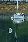 Click to see Y-JG-CANON-EOS-R7-1965.JPG