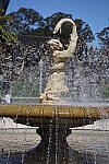 Click to see Y-JS-EOSRP-IMG_4694.JPG