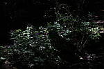 Click to see Y-JS-EOSRP-IMG_4706.JPG