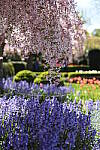 Click to see Y-JS-EOSRP-IMG_4740.JPG