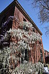 Click to see Y-JS-EOSRP-IMG_4764.JPG