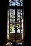 Click to see Y-JS-EOSRP-IMG_4771-EDIT.jpg