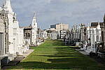 Click to see Y-WB-IMG_0008.JPG