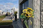 Click to see Y-WB-IMG_0020.JPG