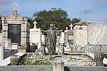 Click to see Y-WB-IMG_0050.JPG
