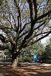 Click to see Y-WB-IMG_0206.JPG