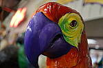 Click to see Y-WB-IMG_0309.JPG
