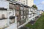 Click to see YDE-EOS-RPb_IMG_0032.JPG