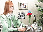 Click to see G15INBMP3.JPG