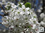 Click to see YIMG_10026.JPG