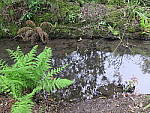 Click to see YIMG_0225_HDRnatural.JPG