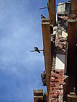 Click to see YIMG_0399.JPG