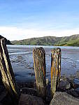Click to see YIMG_0437.JPG