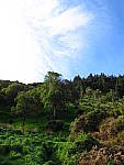 Click to see YIMG_0445.JPG