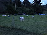 Click to see YIMG_0466_HandHeldNight.JPG