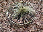 Click to see YIMG_1685-FISHEYE.JPG