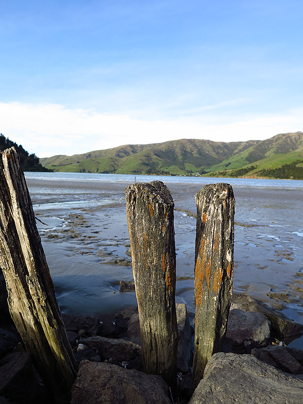 Canon G16 Review - Gallery Image