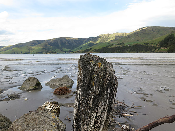 Canon G16 Review - Gallery Image