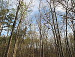 Click to see YIMG_0011.JPG