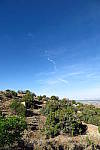 Click to see YIMG_0873.JPG