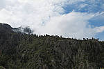 Click to see YIMG_0934_ACRS.JPG