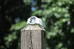 Click to see YIMG_1471-f39.JPG